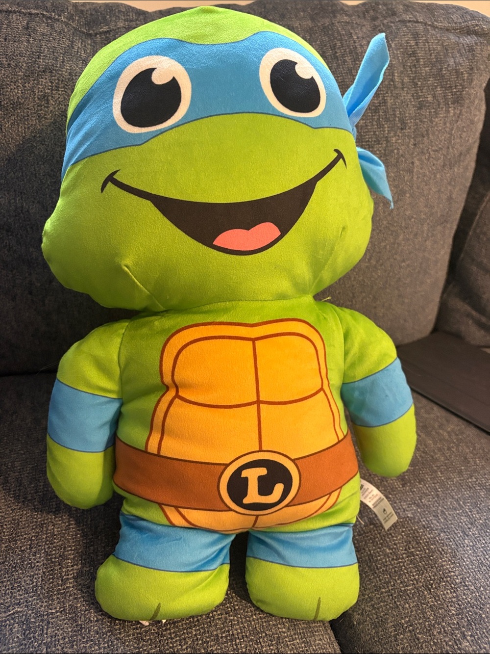 Nickelodeon Teenage Mutant Ninja Turtles Leonardo Plush - Green & Blue
